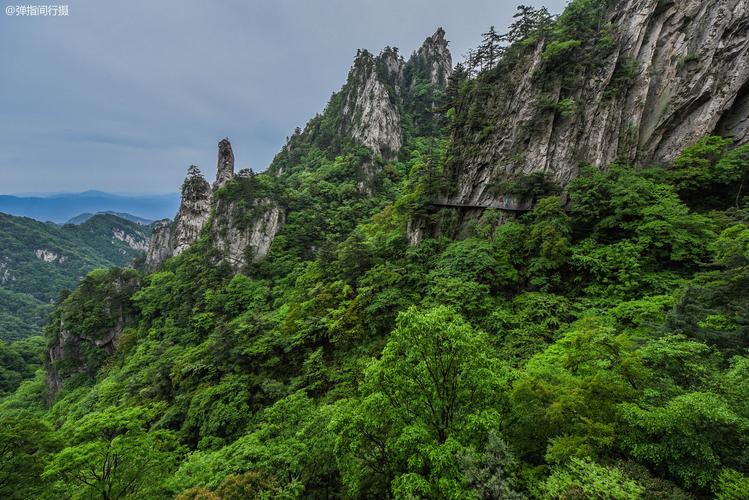 明贤宗朱建申介绍朱建申喜欢万贵深